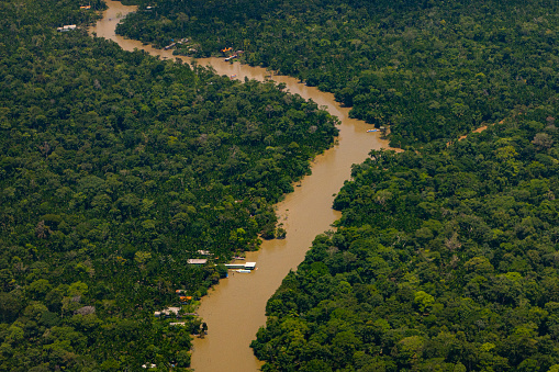 Amazonian river - igarapé - winding through the forest