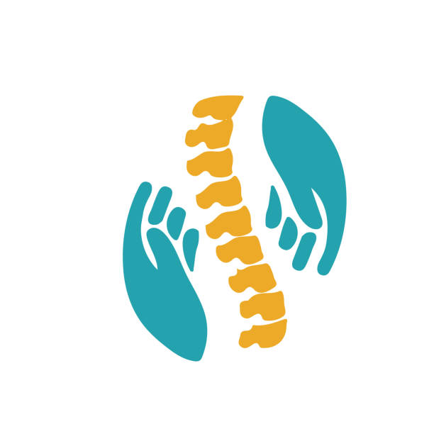 ilustrações de stock, clip art, desenhos animados e ícones de royalty free chiropractic symbol hands massaging spine concept icon. - massaging human hand massage therapist vector