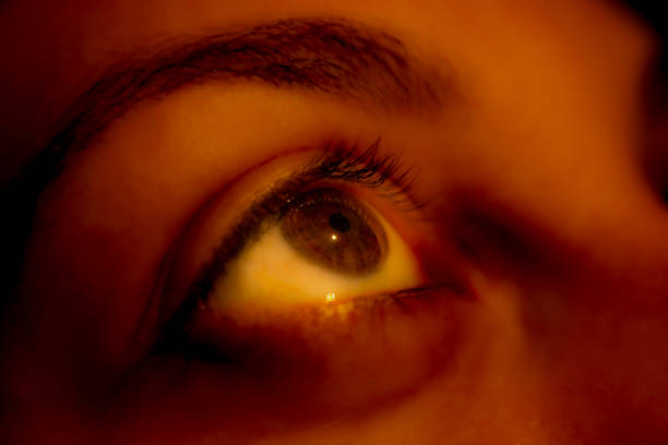 Woman after cosmetological procedure. Female eye with long eyelashes. Eyelash extensions, lamination, biowave, concept.