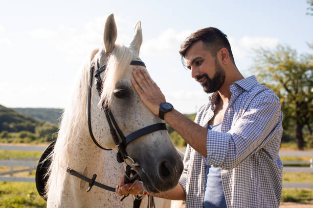 istock Horse Standing On Field Against Sky 1352046569