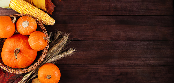 Autumn harvest and Thanksgiving. Ripe pumpkins, corn and wheat on a wooden background. Banner format.