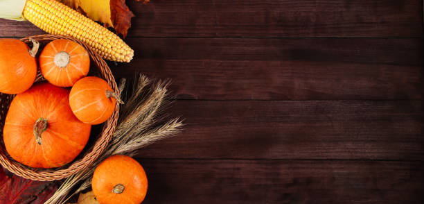 Autumn harvest and Thanksgiving. Ripe pumpkins, corn and wheat on wooden background. Banner format. Autumn harvest and Thanksgiving. Ripe pumpkins, corn and wheat on a wooden background. Banner format. thanksgiving holiday hours stock pictures, royalty-free photos & images