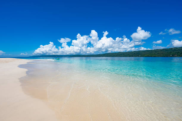 istock paradise beach bacardi island 1352067105