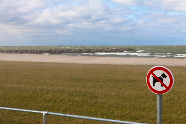 istock No dog sign on a beautiful empty beach. Markermeer, Netherlands. 1352072106
