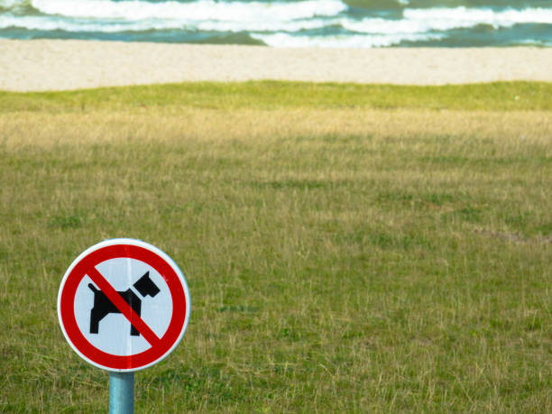 istock No dog sign on a beautiful empty beach. Markermeer, Netherlands. 1352072107