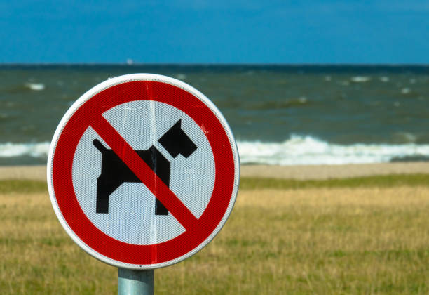istock No dog sign on a beautiful empty beach. Markermeer, Netherlands. 1352072119