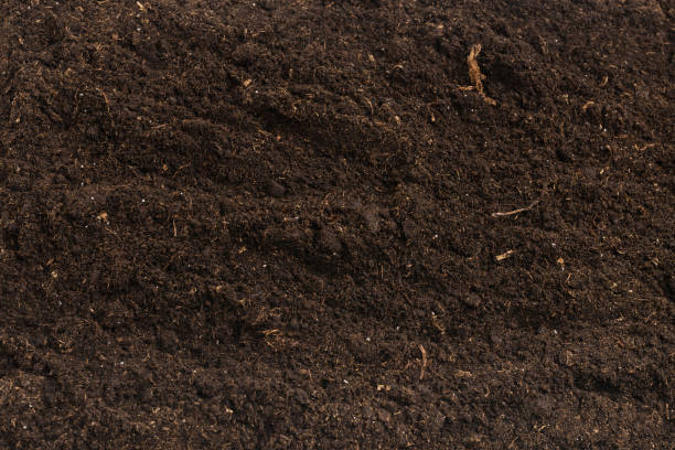 istock Soil for plant isolated on white background. 1352074390