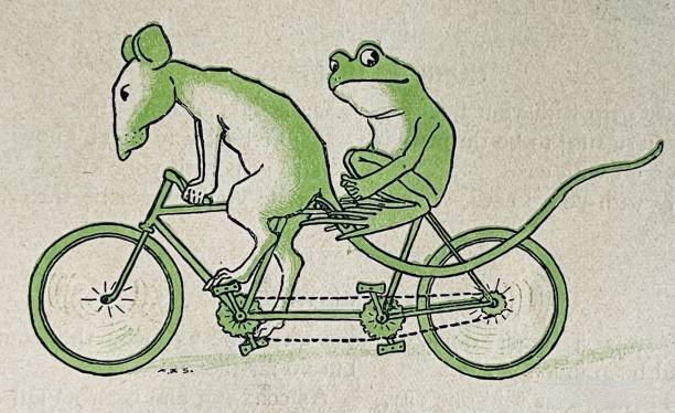 Mouse and frog cycling on a tandem, side view Illustration from 19th century. retro bicycle stock illustrations