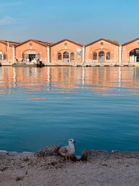 Venice architecture landscape venice biennale stock pictures, royalty-free photos & images