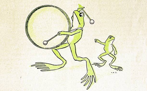Frog playing drums Illustration from 19th century. cartoon of a frog black and white stock illustrations