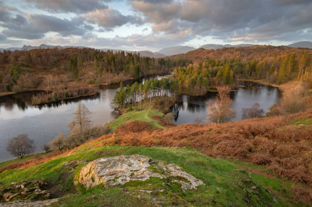 istock Tarn Hows Sunset, Lake District National Park, England, UK 1352076083