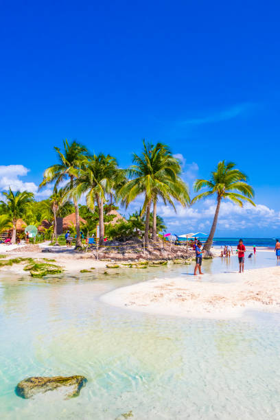 playa tropical mexicana y vista panorámica del cenote desde punta esmeralda en playa del carmen méxico. - mayan riviera fotografías e imágenes de stock