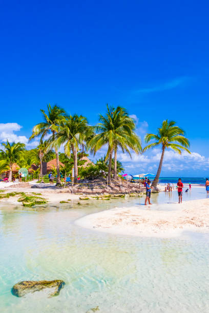тропический мексиканский пляж и сенот панорамный вид из пунта эсмеральда в плайя-дель-кармен, мексика. - mayan riviera стоковые фото и изображения