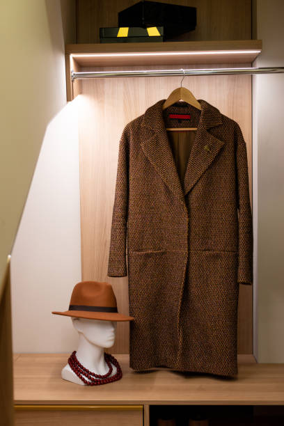 istock Not a large modern dressing room. Interior design, wardrobe. Stylist's work. Soft selective focus, artistic noise. 1352079963