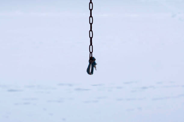 Loop on the chain on the background of snow close-up focus, fierce winter even hang how to survive