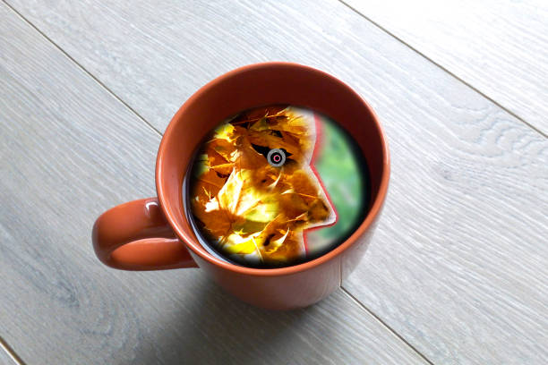 Reflection of autumn man in a cup of tea, psychedelic image of leaves at the bottom of the cup stock photo