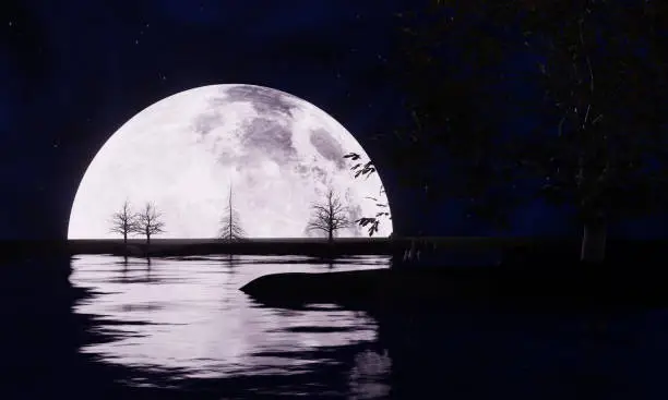 Photo of Full moon night, but only half of the moon can be seen.The reflection of the moon on the river at night. The tree silhouette has the main scene of the moon. Clear sky, starry sky.3D Rendering