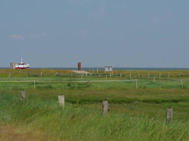 istock Hallig Hooge in the german north sea 1352086099