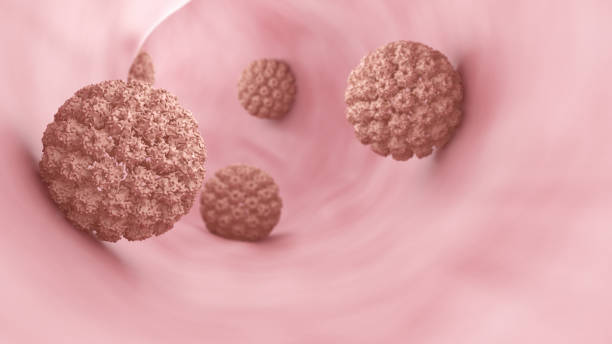Human Papilloma Virus (HPV-16) stock photo