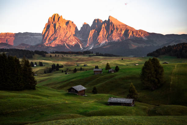 istock Green landscape view in Alpe di Siusi or Seiser Alm 1352087594