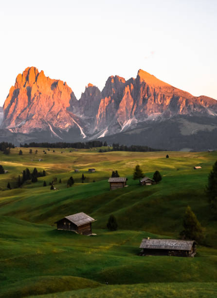 istock Green landscape view in Alpe di Siusi or Seiser Alm 1352087620