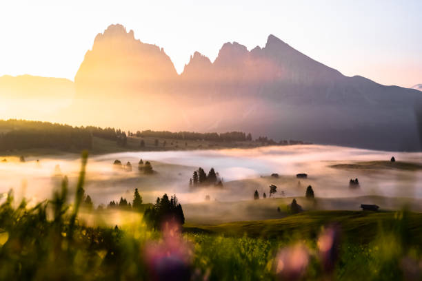 istock Misty landscape view in Alpe di Siusi or Seiser Alm 1352087731