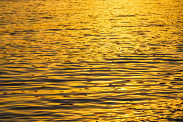 istock Golden sea waves in sunset glow as surface background. Summer holidays concept 1352088579