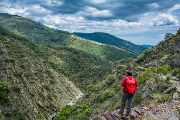 istock Rear View Of A Man Hiking. 1352089376