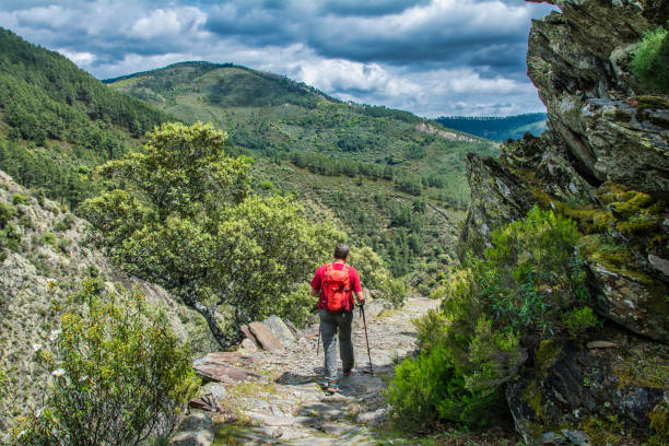 istock Rear View Of A Man Hiking. 1352089415