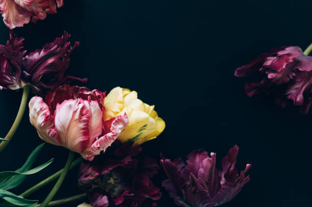istock Bunch of Parrot Style Tulips 1352090231