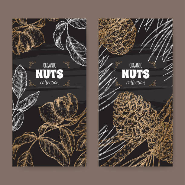 illustrations, cliparts, dessins animés et icônes de ensemble de deux étiquettes avec juglans regia aka noyer et pinus pinea aka stone pine branch sketch sur noir. - walnut tree walnut nut branch