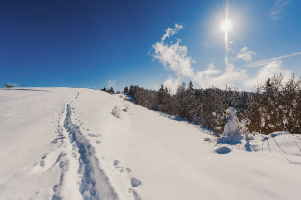 istock Winter landscape with trees, mountains and the foot path covered in snow 1352093035