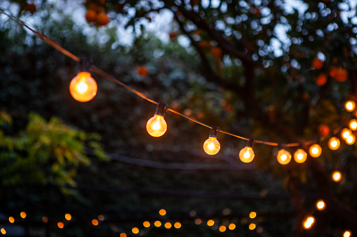 Front shot of light bulbs hanging from cable against back yard during night