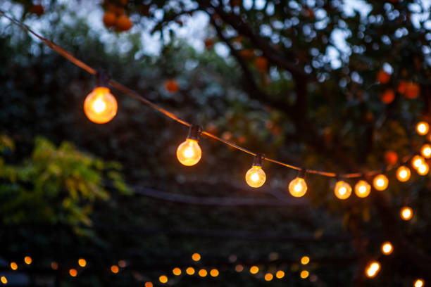лампочки, свисающие с кабеля на заднем дворе - party lights стоковые фото и изображения