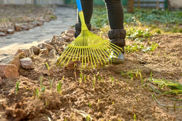 istock Spring seasonal gardening, rake cleaning backyard close-up. 1352093175