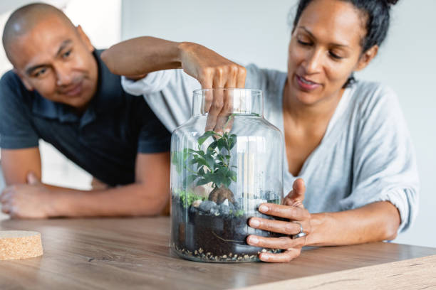 istock Husband and wife creating planting a tree in a jar 1352094489