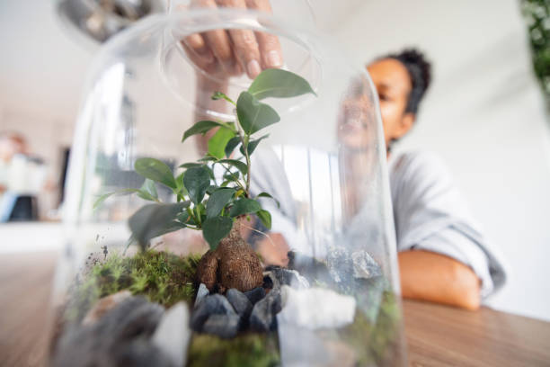 Cheerful hispanic woman making a self sustaining eco flower system from scratch