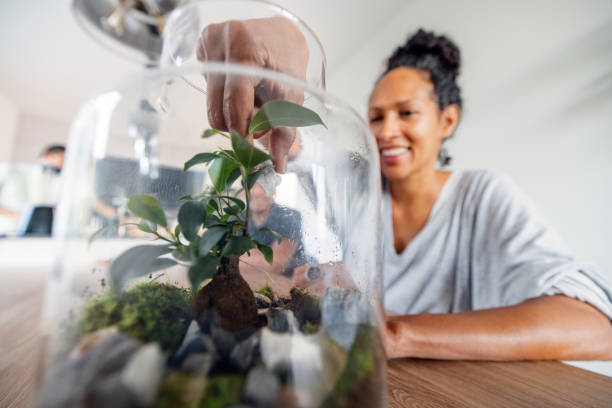 Cheerful hispanic woman making a self sustaining eco flower system
