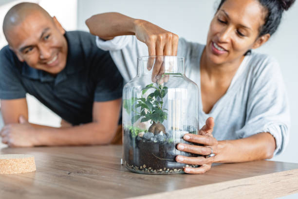 istock Husband and wife creating planting a tree in a jar 1352094492