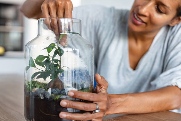 istock Planting a tree in a glass jar 1352094493