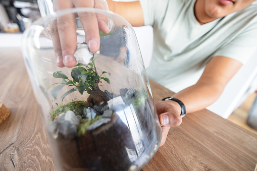 Cheerful hispanic woman making a self sustaining eco flower system from scratch