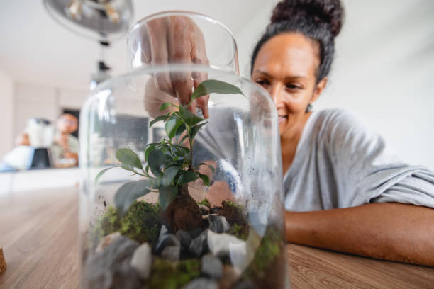 istock Cheerful hispanic woman making a self sustaining eco flower system 1352094550