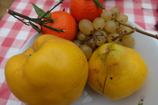 istock Ripe autumn fruits Quince Mandarin Grape 1352094846