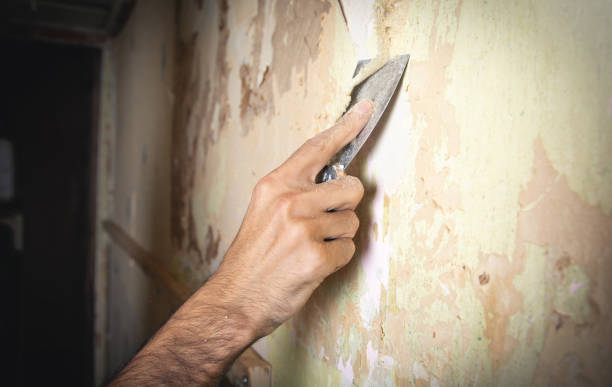 istock Male hand removing old wallpaper from the wall. 1352095993