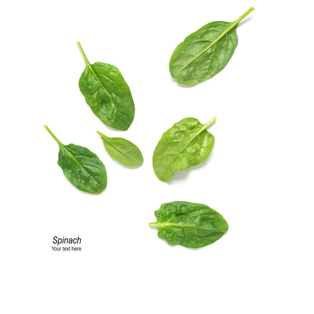 istock Fresh spinach leaves with drops isolated on white background. Creative layout. Stylish trendy photo. Top view, flat lay. 1352104452