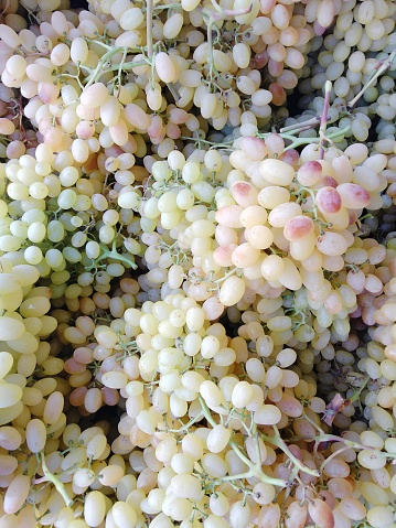 Closeup from above to bunches of yellow grapes