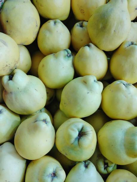 istock Yellow quince closeup 1352105612