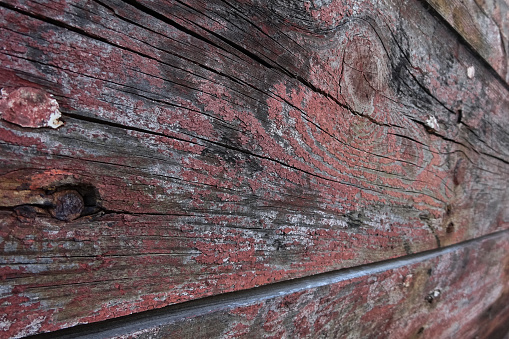 Wooden background. They are the old planks of the hull of an old fishing boat.
