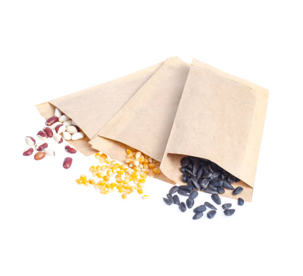 istock Spring preparation and planning for sowing vegetable. Veggie seeds in craft paper envelopes. Seasonal garden work 1352108588