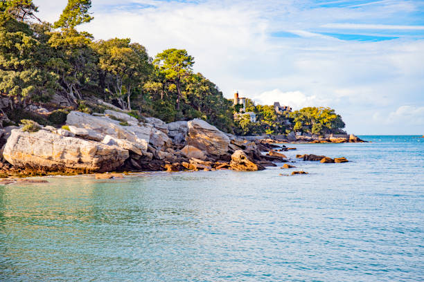 l’île de noirmoutiers dans français océan atlantique - pays de la loire photos et images de collection